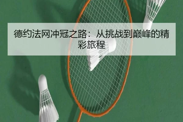 德约法网冲冠之路：从挑战到巅峰的精彩旅程